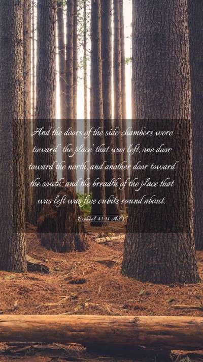 Picture 03 - Ezekiel 41:11 ASV Mobile Phone Wallpaper - And the doors of the side-chambers were toward - Mobile Bible Verse Wallpaper