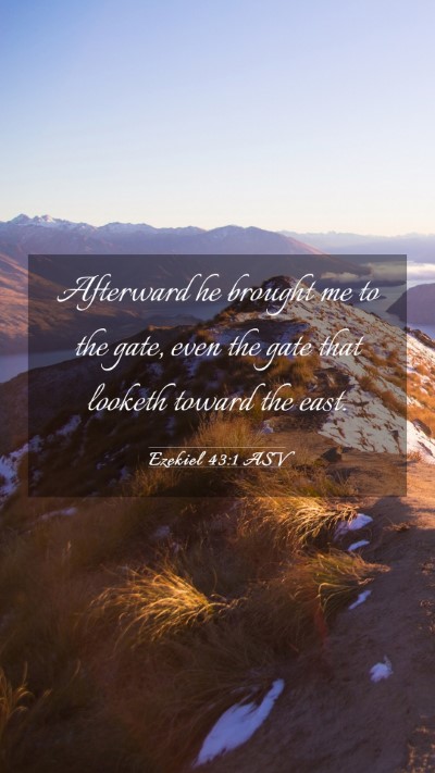 Picture 03 - Ezekiel 43:1 ASV Mobile Phone Wallpaper - Afterward he brought me to the gate, even the - Mobile Bible Verse Wallpaper