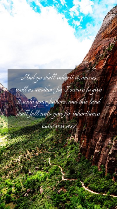 Picture 03 - Ezekiel 47:14 ASV Mobile Phone Wallpaper - And ye shall inherit it, one as well as another; - Mobile Bible Verse Wallpaper