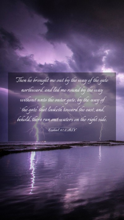 Picture 03 - Ezekiel 47:2 ASV Mobile Phone Wallpaper - Then he brought me out by the way of the gate - Mobile Bible Verse Wallpaper
