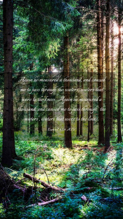 Picture 03 - Ezekiel 47:4 ASV Mobile Phone Wallpaper - Again he measured a thousand, and caused me to - Mobile Bible Verse Wallpaper