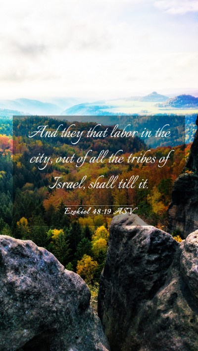 Picture 03 - Ezekiel 48:19 ASV Mobile Phone Wallpaper - And they that labor in the city, out of all the - Mobile Bible Verse Wallpaper