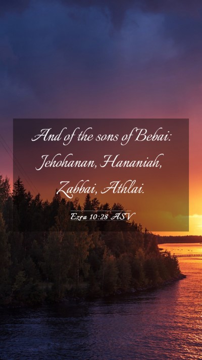 Picture 03 - Ezra 10:28 ASV Mobile Phone Wallpaper - And of the sons of Bebai: Jehohanan, Hananiah, - Mobile Bible Verse Wallpaper
