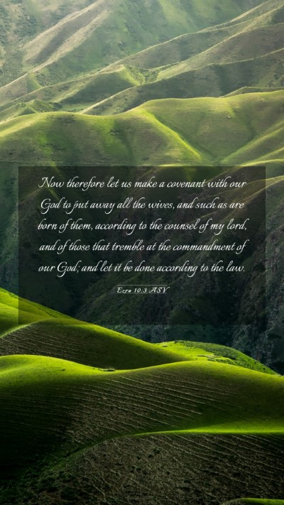 Picture 03 - Ezra 10:3 ASV Mobile Phone Wallpaper - Now therefore let us make a covenant with our God - Mobile Bible Verse Wallpaper