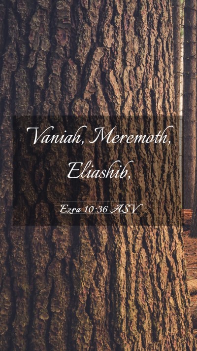 Picture 03 - Ezra 10:36 ASV Mobile Phone Wallpaper - Vaniah, Meremoth, - Mobile Bible Verse Wallpaper