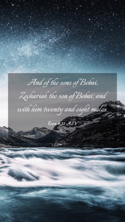 Picture 03 - Ezra 8:11 ASV Mobile Phone Wallpaper - And of the sons of Bebai, Zechariah the son of - Mobile Bible Verse Wallpaper