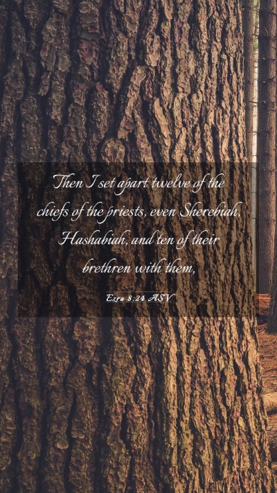 Picture 03 - Ezra 8:24 ASV Mobile Phone Wallpaper - Then I set apart twelve of the chiefs of the - Mobile Bible Verse Wallpaper
