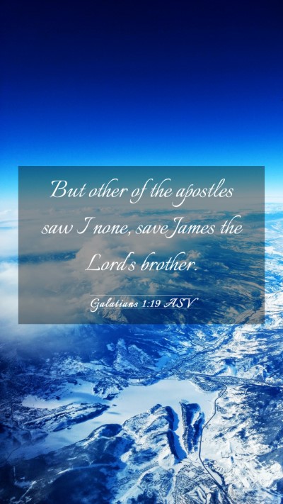 Picture 03 - Galatians 1:19 ASV Mobile Phone Wallpaper - But other of the apostles saw I none, save James - Mobile Bible Verse Wallpaper