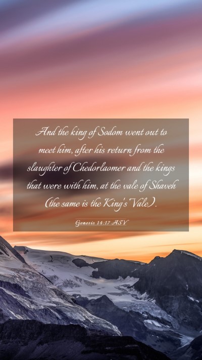 Picture 03 - Genesis 14:17 ASV Mobile Phone Wallpaper - And the king of Sodom went out to meet him, after - Mobile Bible Verse Wallpaper