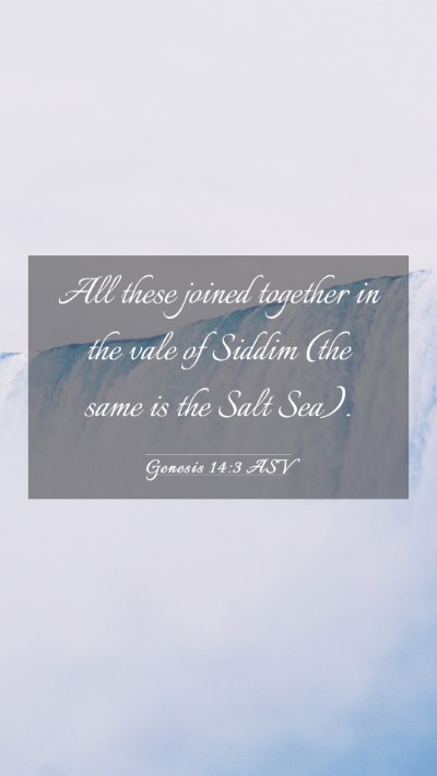 Picture 03 - Genesis 14:3 ASV Mobile Phone Wallpaper - All these joined together in the vale of Siddim - Mobile Bible Verse Wallpaper