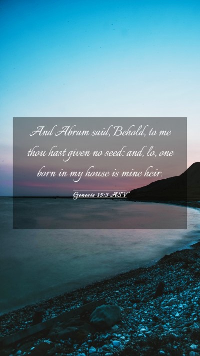 Picture 03 - Genesis 15:3 ASV Mobile Phone Wallpaper - And Abram said, Behold, to me thou hast given no - Mobile Bible Verse Wallpaper