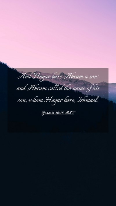 Picture 03 - Genesis 16:15 ASV Mobile Phone Wallpaper - And Hagar bare Abram a son: and Abram called the - Mobile Bible Verse Wallpaper