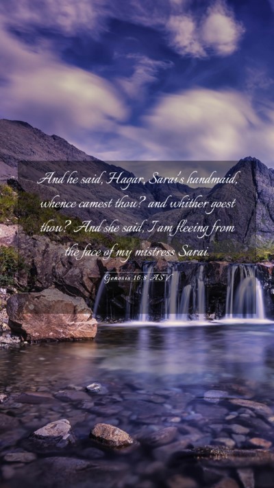 Picture 03 - Genesis 16:8 ASV Mobile Phone Wallpaper - And he said, Hagar, Sarai's handmaid, whence - Mobile Bible Verse Wallpaper