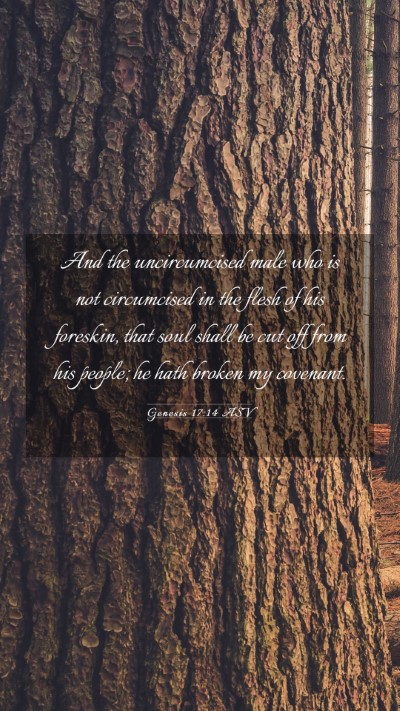 Picture 03 - Genesis 17:14 ASV Mobile Phone Wallpaper - And the uncircumcised male who is not circumcised - Mobile Bible Verse Wallpaper