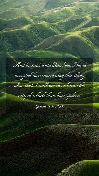 Picture 03 - Genesis 19:21 ASV Mobile Phone Wallpaper - And he said unto him, See, I have accepted thee - Mobile Bible Verse Wallpaper
