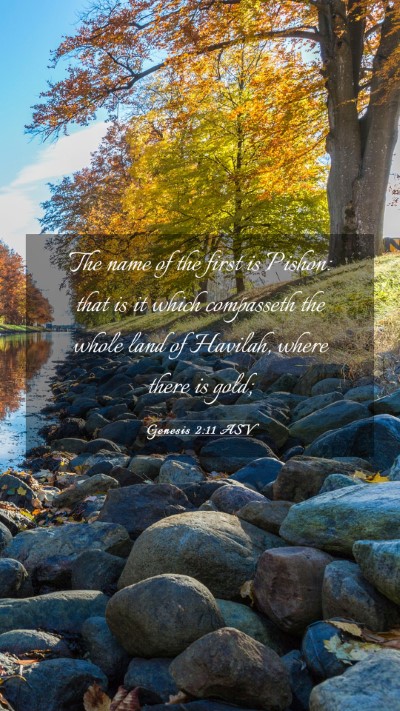 Picture 03 - Genesis 2:11 ASV Mobile Phone Wallpaper - The name of the first is Pishon: that is it which - Mobile Bible Verse Wallpaper