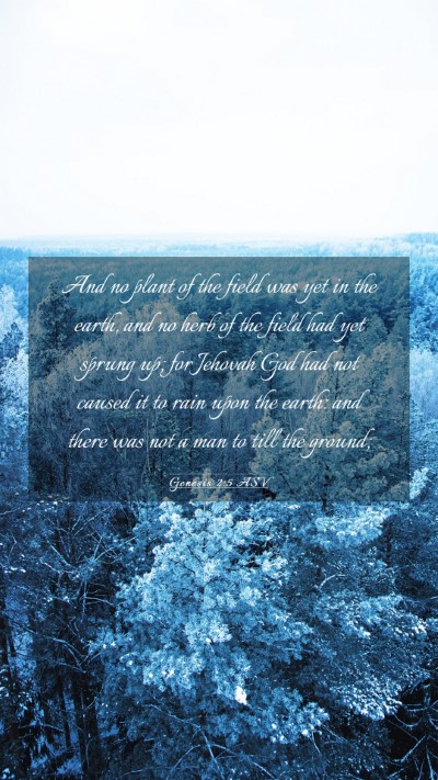 Picture 03 - Genesis 2:5 ASV Mobile Phone Wallpaper - And no plant of the field was yet in the earth, - Mobile Bible Verse Wallpaper