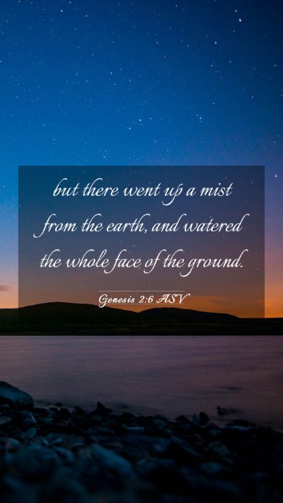 Picture 03 - Genesis 2:6 ASV Mobile Phone Wallpaper - but there went up a mist from the earth, and - Mobile Bible Verse Wallpaper