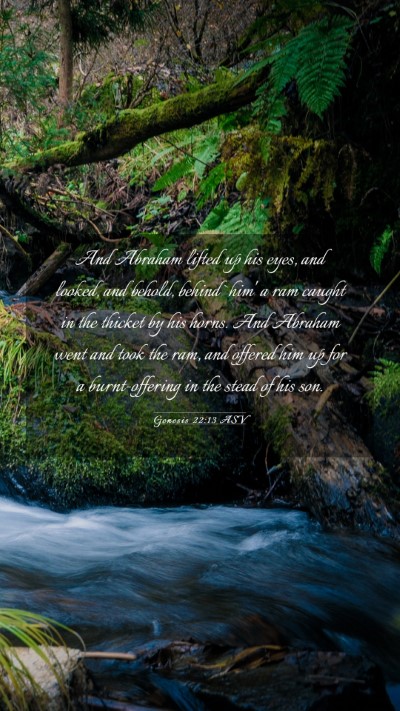 Picture 03 - Genesis 22:13 ASV Mobile Phone Wallpaper - And Abraham lifted up his eyes, and looked, and - Mobile Bible Verse Wallpaper