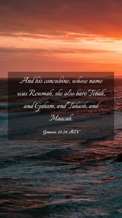 Picture 03 - Genesis 22:24 ASV Mobile Phone Wallpaper - And his concubine, whose name was Reumah, she - Mobile Bible Verse Wallpaper