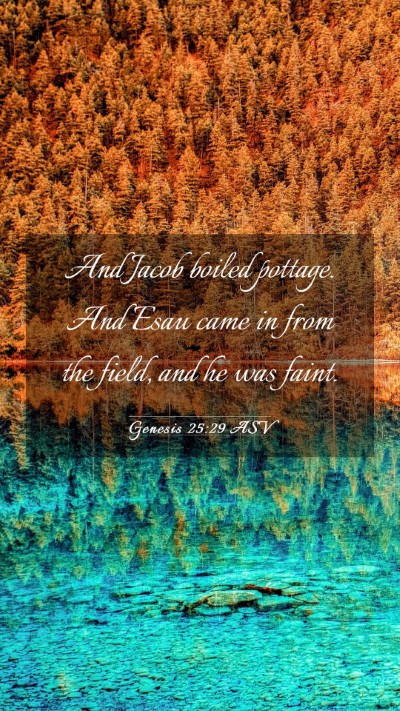 Picture 03 - Genesis 25:29 ASV Mobile Phone Wallpaper - And Jacob boiled pottage. And Esau came in from - Mobile Bible Verse Wallpaper