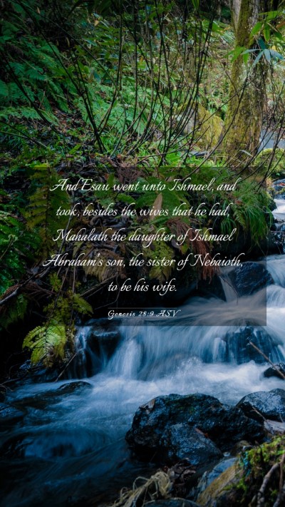 Picture 03 - Genesis 28:9 ASV Mobile Phone Wallpaper - And Esau went unto Ishmael, and took, besides the - Mobile Bible Verse Wallpaper