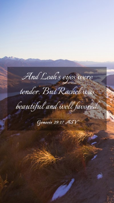 Picture 03 - Genesis 29:17 ASV Mobile Phone Wallpaper - And Leah's eyes were tender. But Rachel was - Mobile Bible Verse Wallpaper