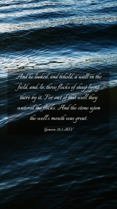 Picture 03 - Genesis 29:2 ASV Mobile Phone Wallpaper - And he looked, and behold, a well in the field, - Mobile Bible Verse Wallpaper