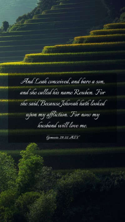 Picture 03 - Genesis 29:32 ASV Mobile Phone Wallpaper - And Leah conceived, and bare a son, and she - Mobile Bible Verse Wallpaper