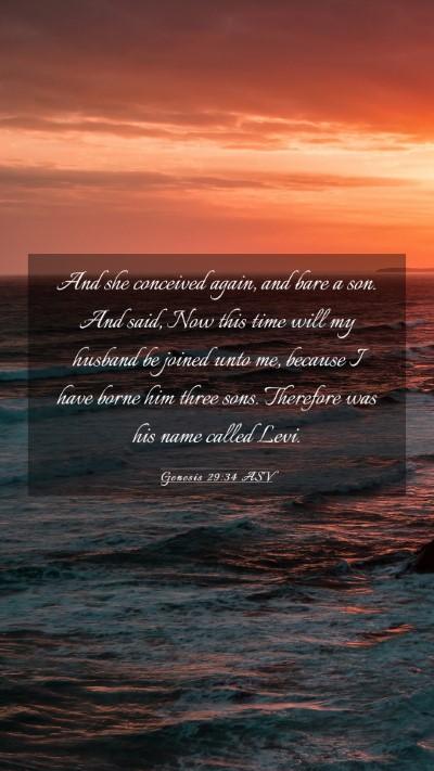 Picture 03 - Genesis 29:34 ASV Mobile Phone Wallpaper - And she conceived again, and bare a son. And - Mobile Bible Verse Wallpaper