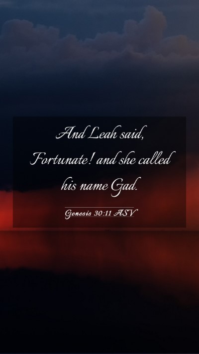 Picture 03 - Genesis 30:11 ASV Mobile Phone Wallpaper - And Leah said, Fortunate! and she called his name - Mobile Bible Verse Wallpaper