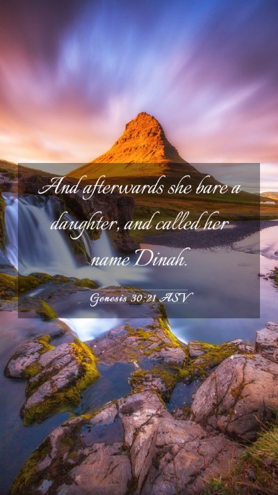 Picture 03 - Genesis 30:21 ASV Mobile Phone Wallpaper - And afterwards she bare a daughter, and called - Mobile Bible Verse Wallpaper