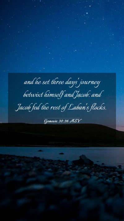 Picture 03 - Genesis 30:36 ASV Mobile Phone Wallpaper - and he set three days' journey betwixt himself - Mobile Bible Verse Wallpaper