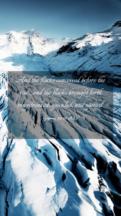 Picture 03 - Genesis 30:39 ASV Mobile Phone Wallpaper - And the flocks conceived before the rods, and the - Mobile Bible Verse Wallpaper