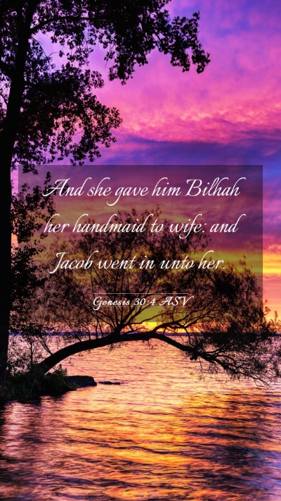 Picture 03 - Genesis 30:4 ASV Mobile Phone Wallpaper - And she gave him Bilhah her handmaid to wife: and - Mobile Bible Verse Wallpaper