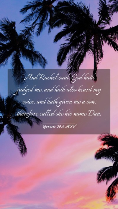 Picture 03 - Genesis 30:6 ASV Mobile Phone Wallpaper - And Rachel said, God hath judged me, and hath - Mobile Bible Verse Wallpaper