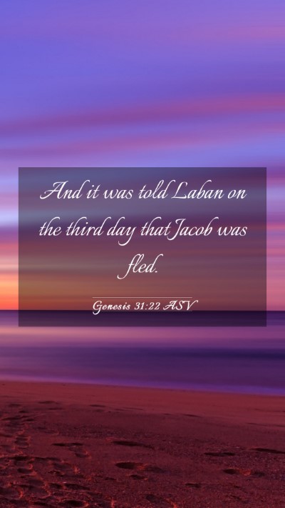 Picture 03 - Genesis 31:22 ASV Mobile Phone Wallpaper - And it was told Laban on the third day that Jacob - Mobile Bible Verse Wallpaper