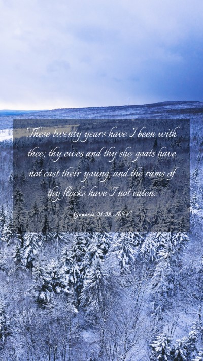 Picture 03 - Genesis 31:38 ASV Mobile Phone Wallpaper - These twenty years have I been with thee; thy - Mobile Bible Verse Wallpaper
