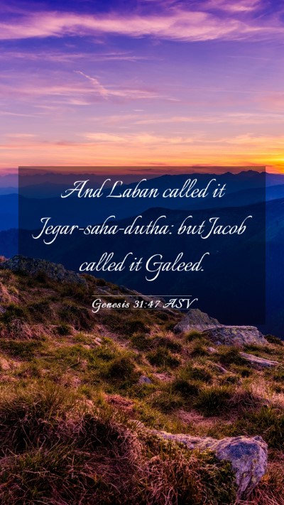 Picture 03 - Genesis 31:47 ASV Mobile Phone Wallpaper - And Laban called it Jegar-saha-dutha: but Jacob - Mobile Bible Verse Wallpaper