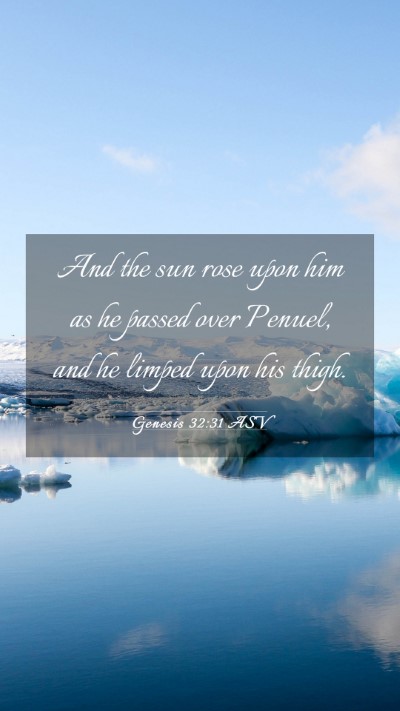 Picture 03 - Genesis 32:31 ASV Mobile Phone Wallpaper - And the sun rose upon him as he passed over - Mobile Bible Verse Wallpaper