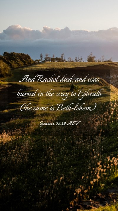Picture 03 - Genesis 35:19 ASV Mobile Phone Wallpaper - And Rachel died, and was buried in the way to - Mobile Bible Verse Wallpaper