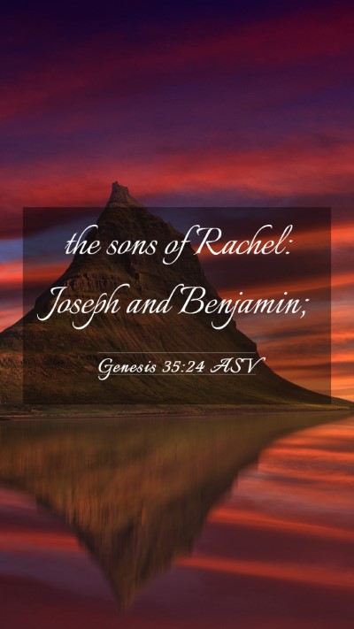 Picture 03 - Genesis 35:24 ASV Mobile Phone Wallpaper - the sons of Rachel: Joseph and - Mobile Bible Verse Wallpaper