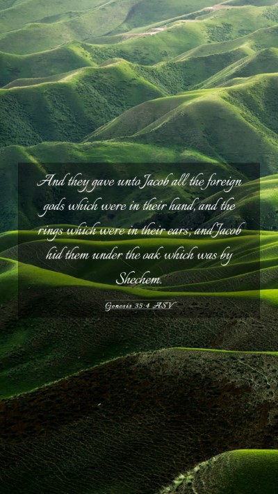 Picture 03 - Genesis 35:4 ASV Mobile Phone Wallpaper - And they gave unto Jacob all the foreign gods - Mobile Bible Verse Wallpaper