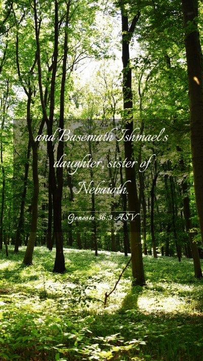 Picture 03 - Genesis 36:3 ASV Mobile Phone Wallpaper - and Basemath Ishmael's daughter, sister of - Mobile Bible Verse Wallpaper