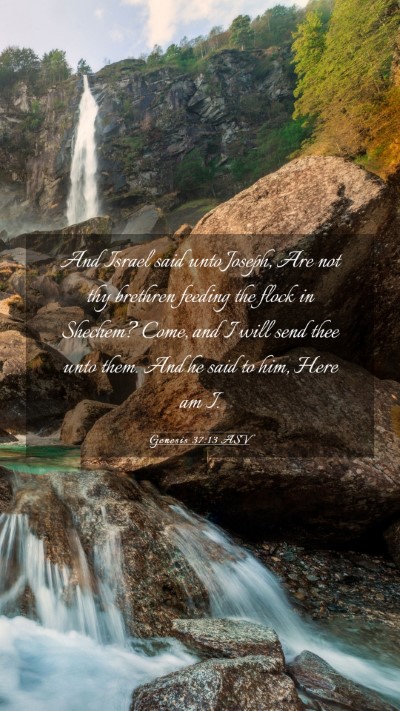 Picture 03 - Genesis 37:13 ASV Mobile Phone Wallpaper - And Israel said unto Joseph, Are not thy brethren - Mobile Bible Verse Wallpaper