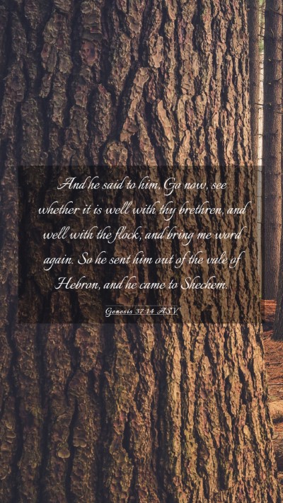 Picture 03 - Genesis 37:14 ASV Mobile Phone Wallpaper - And he said to him, Go now, see whether it is - Mobile Bible Verse Wallpaper