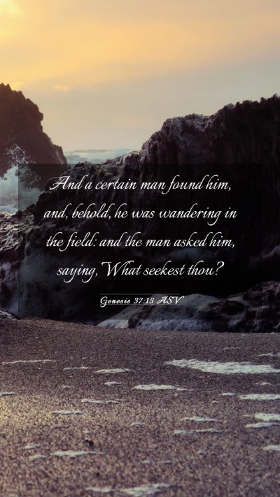 Picture 03 - Genesis 37:15 ASV Mobile Phone Wallpaper - And a certain man found him, and, behold, he was - Mobile Bible Verse Wallpaper