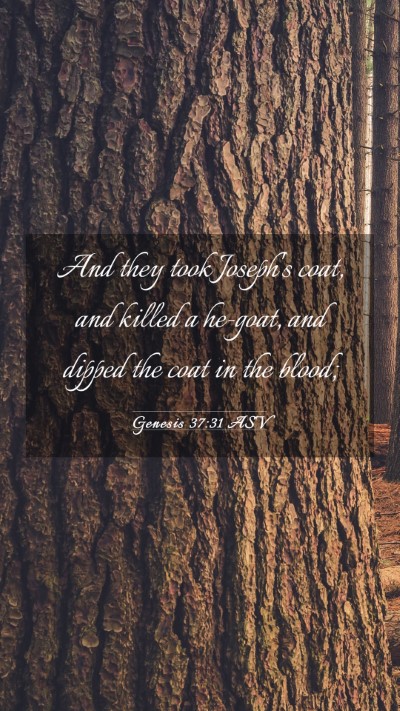 Picture 03 - Genesis 37:31 ASV Mobile Phone Wallpaper - And they took Joseph's coat, and killed a - Mobile Bible Verse Wallpaper