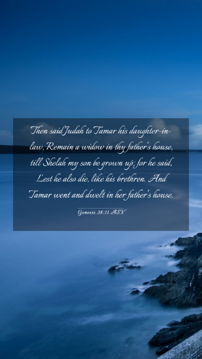 Picture 03 - Genesis 38:11 ASV Mobile Phone Wallpaper - Then said Judah to Tamar his daughter-in-law, - Mobile Bible Verse Wallpaper