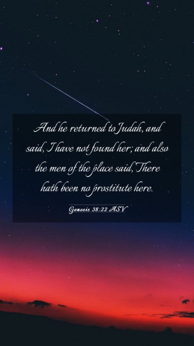 Picture 03 - Genesis 38:22 ASV Mobile Phone Wallpaper - And he returned to Judah, and said, I have not - Mobile Bible Verse Wallpaper